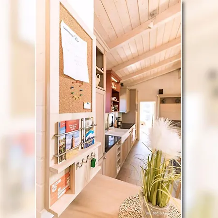 Strandhaus-austern Prerow